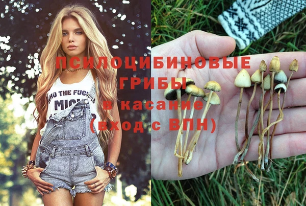 гидра Нязепетровск