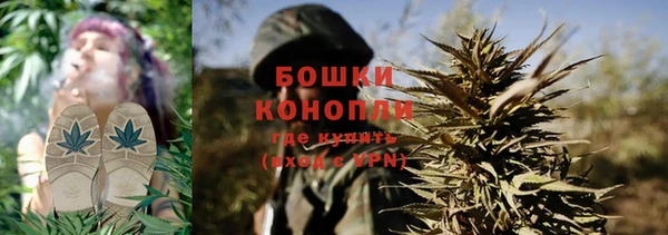 гидра Нязепетровск